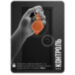 Брелок доступа RFID Mifare PS-036MF Коричневый кожаный, без перезаписи, 13.56 МГц - Брелок доступа RFID Mifare PS-036MF Коричневый кожаный, без перезаписи, 13.56 МГц