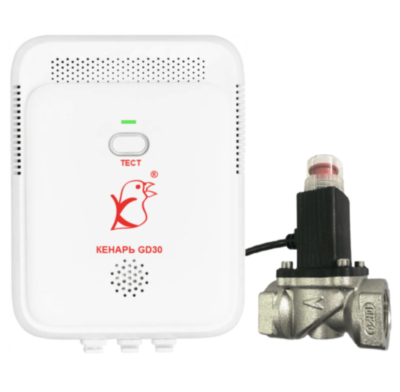 Комплект Кенарь GD30-CN + DN20 (3/4’) 