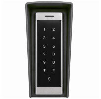 Козырёк для панели доступа PS-T6MF Серый