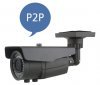 IP-камера Сапсан IP-Cam S T40C-HD  уличная 2Мп, 2,8-12мм, ИК-40 м, 0,06 Лк, день/ночь (авто)